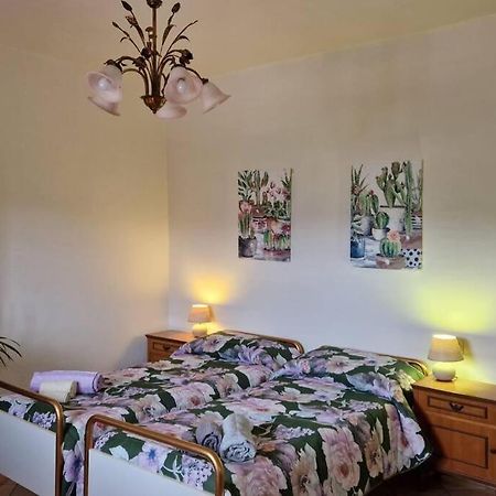 Petreto Il Giardino Dei Limoni Lägenhet Castiglion Fiorentino Exteriör bild