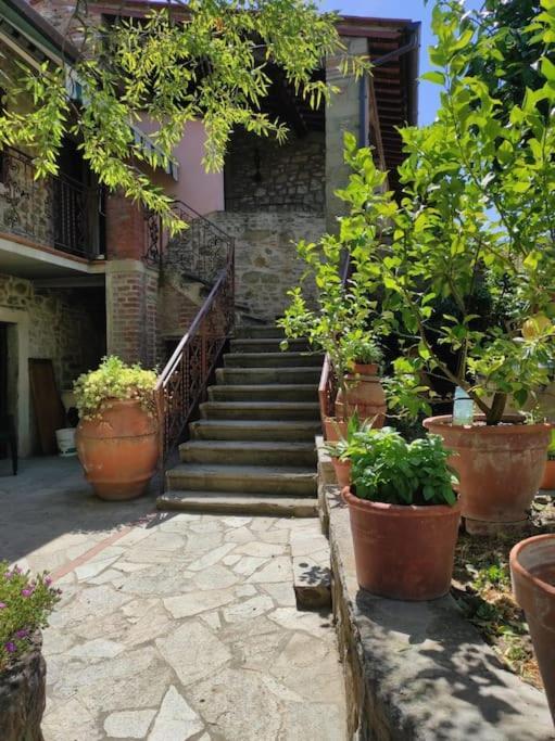 Petreto Il Giardino Dei Limoni Lägenhet Castiglion Fiorentino Exteriör bild