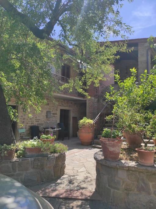 Petreto Il Giardino Dei Limoni Lägenhet Castiglion Fiorentino Exteriör bild